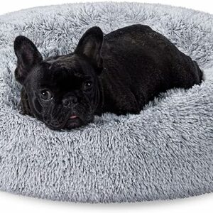 Cama de Perros