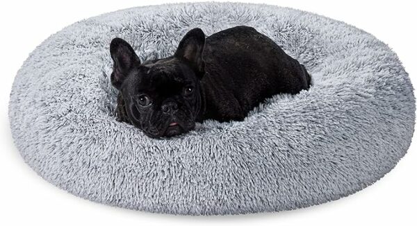 Cama de Perros